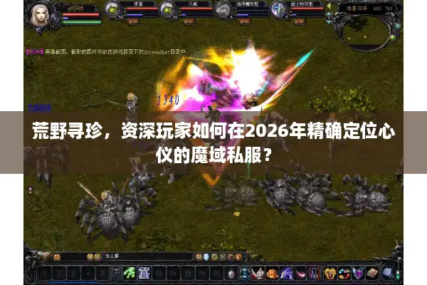荒野寻珍，资深玩家如何在2026年精确定位心仪的魔域私服？