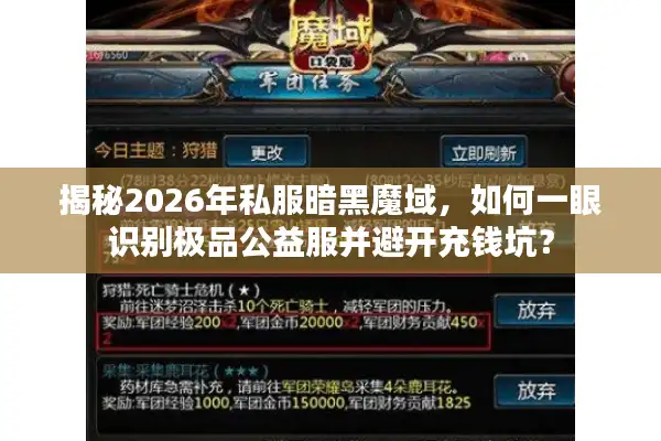 揭秘2026年私服暗黑魔域，如何一眼识别极品公益服并避开充钱坑？